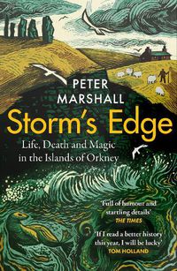 Cover image for Storm's Edge