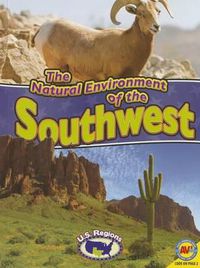 Cover image for The Natural Environment of the Southwest