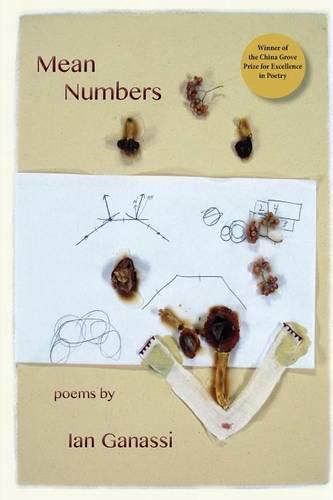 Cover image for Mean Numbers