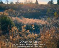 Cover image for November Idyll: In the Creasey Mahan Nature Preserve