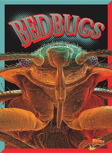 Cover image for Bedbugs