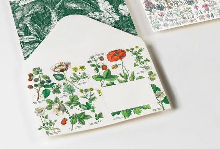 Botanical: Envelopes (C6)