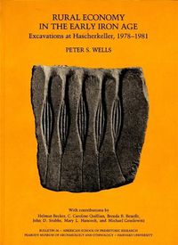 Cover image for Rural Economy in the Early Iron Age: Excavations at Hascherkeller, 1978-1981