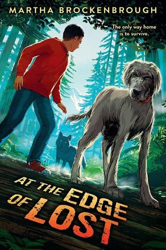 Cover image for At the Edge of Lost