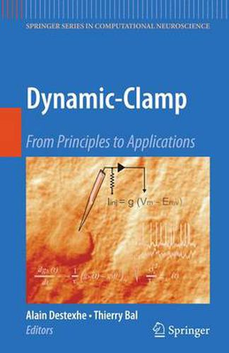 Cover image for Dynamic-Clamp: From Principles to Applications