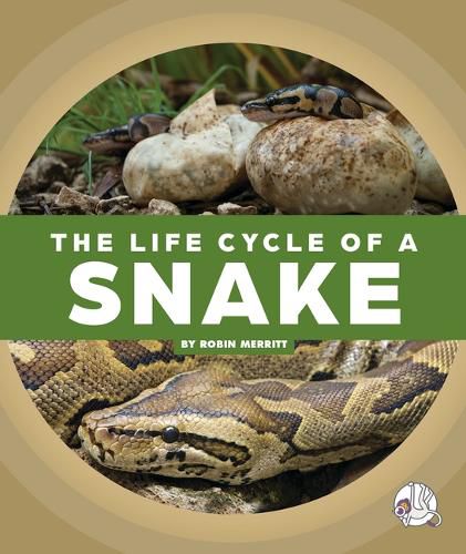 Cover image for The Life Cycle of a Snake