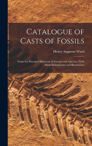 Cover image for Catalogue of Casts of Fossils