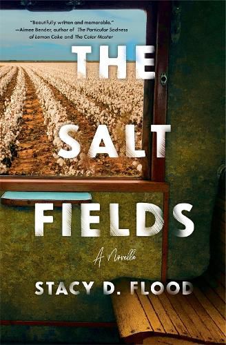 Cover image for The Salt Fields: A Novella