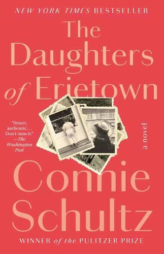 Cover image for The Daughters of Erietown: A Novel