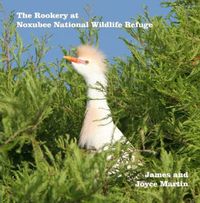 Cover image for The Rookery at Noxubee Wildlife Refuge