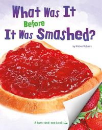 Cover image for What Was It Before It Was Smashed?