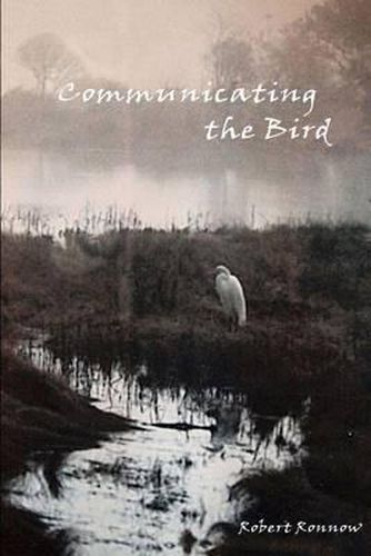 Cover image for Communicating the Bird