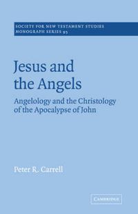 Cover image for Jesus and the Angels: Angelology and the Christology of the Apocalypse of John