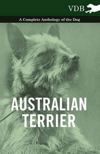 Cover image for Australian Terrier - A Complete Anthology of the Dog -