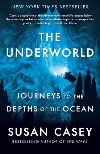 Cover image for The Underworld