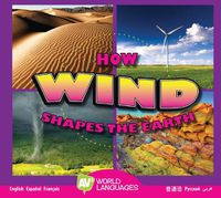 Cover image for How Wind Shapes the Earth