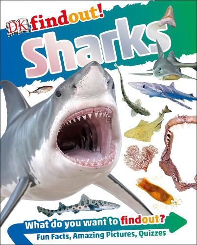 Cover image for DKfindout! Sharks