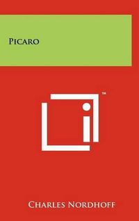 Cover image for Picaro