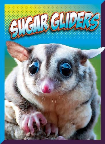 Cover image for Sugar Gliders
