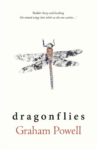 Cover image for Dragonflies