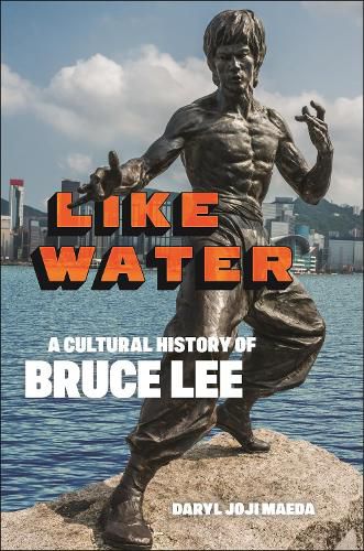 Cover image for Like Water