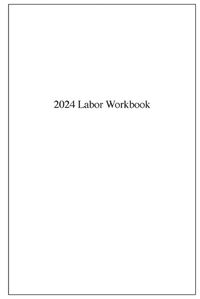 Cover image for Labor Doula Workbook 2024