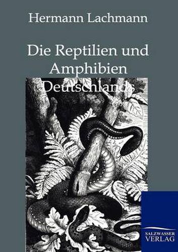 Cover image for Die Reptilien Und Amphibien Deutschlands