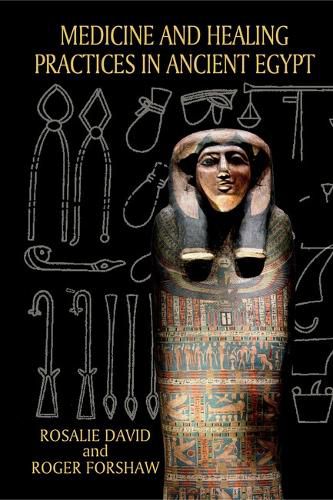 Cover image for Medicine and Healing Practices in Ancient Egypt