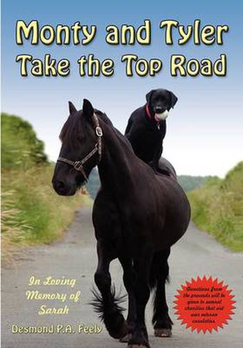 Cover image for Monty and Tyler Take the Top Road