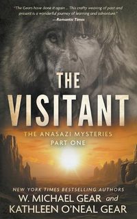 Cover image for The Visitant