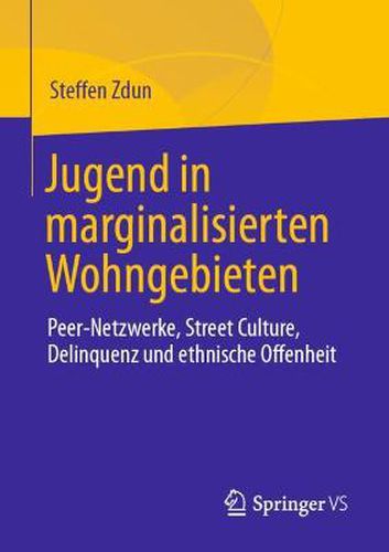 Cover image for Jugend in Marginalisierten Wohngebieten: Peer-Netzwerke, Street Culture, Delinquenz Und Ethnische Offenheit