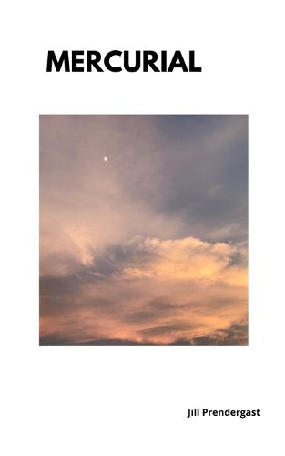 Cover image for Mercurial