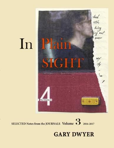 Cover image for In Plain Sight Volume 3