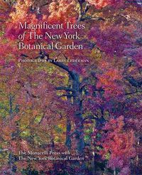 Cover image for Magnificent Trees of the New York Botanical Garden