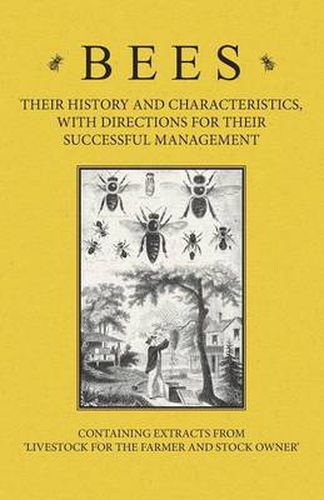 Cover image for Bees - Their History and Characteristics, With Directions for Their Successful Management - Containing Extracts from Livestock for the Farmer and Stock Owner