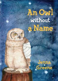 Cover image for An Owl without a Name