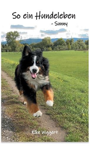 Cover image for So ein Hundeleben: - Sunny
