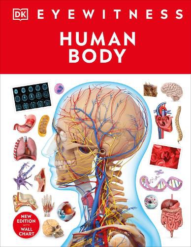 Cover image for Human Body