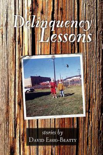 Cover image for Delinquency Lessons