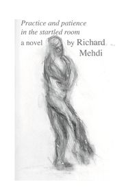 Cover image for Practice and Patience in the Startled Room