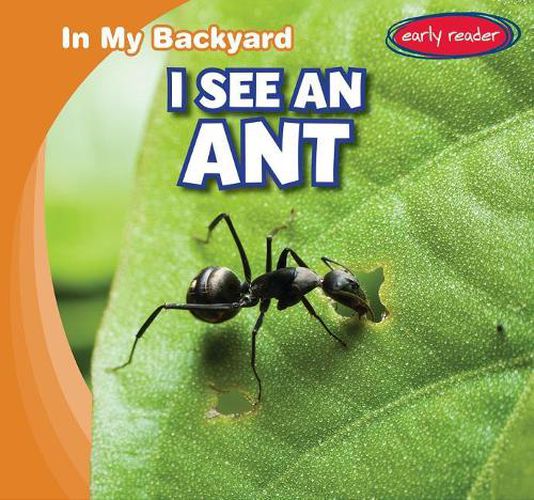 Cover image for I See an Ant