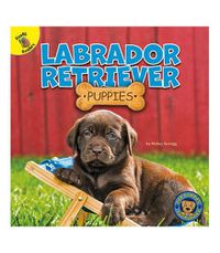 Cover image for Labrador Retriever Puppies