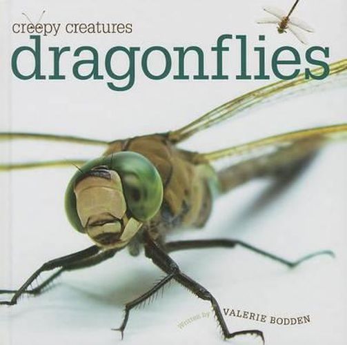 Cover image for Dragonflies