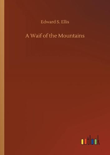 Cover image for A Waif of the Mountains