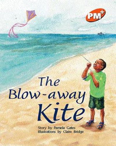 Cover image for The Blow-away Kite