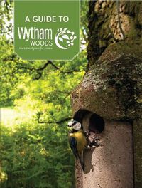 Cover image for A Guide to Wytham Woods