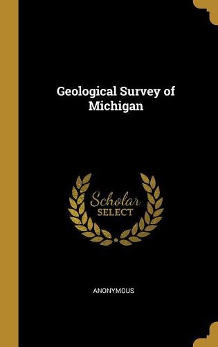 Cover image for Geological Survey of Michigan