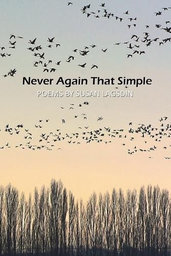 Cover image for Never Again That Simple