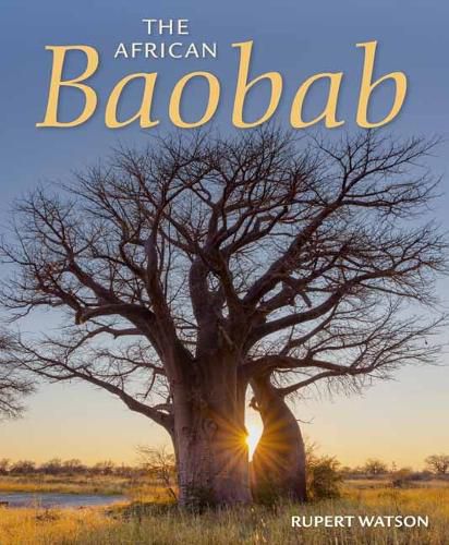 Cover image for The African Baobab