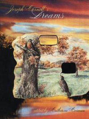 Cover image for Joseph Cornell's Dreams